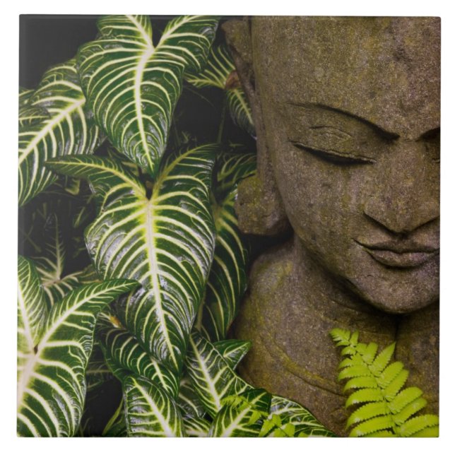 Staty i en trädgårds- information om läge: Chiang Kakelplatta (Framsidan)