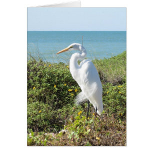 Statylik Heron Hälsningskort
