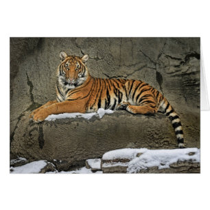 Statylik tigerunge hälsningskort