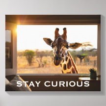 Stay Curious Giraffe Personalized Wall Art Gift