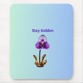 Stay Golden Orchid Musmatta