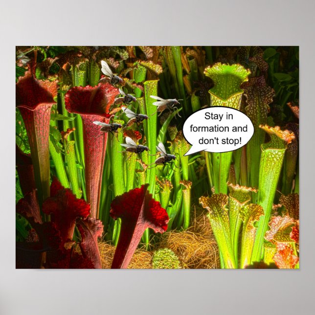 Stay in formation and don't stop. poster (Framsidan)