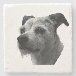 Steady Companion – Parson Russell Terrier Stenunderlägg
