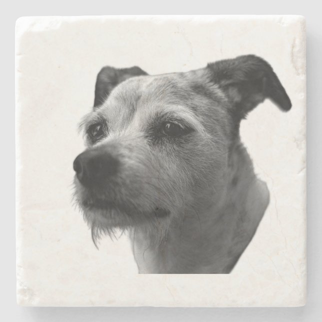 Steady Companion – Parson Russell Terrier Stenunderlägg (Framsidan)