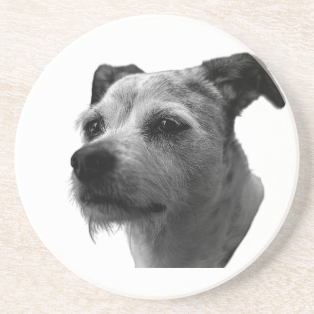 Steady Companion – Parson Russell Terrier Underlägg (Framsidan)