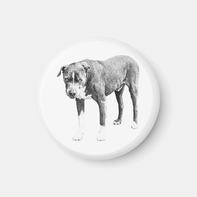 Steady Gaze Fridge Magnet (Framsidan)