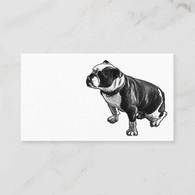 Steady Is Enough Visitkort (Framsida)