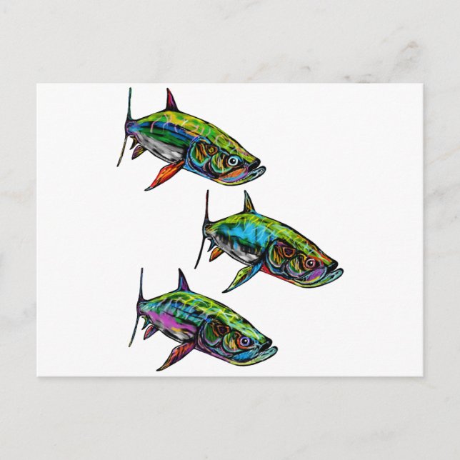 STEADY SCHOOL VYKORT (Framsida)