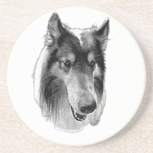 Steady Surface – Collie Underlägg (Framsidan)