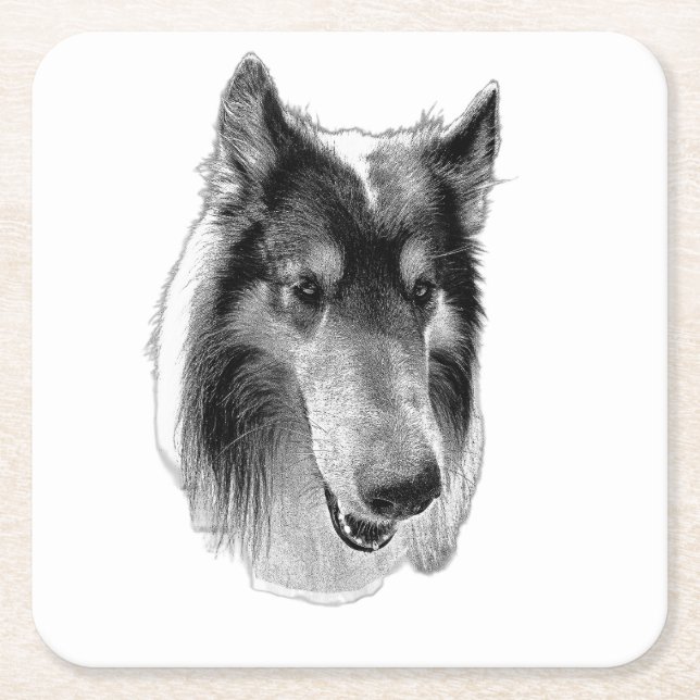 Steady Surface – Collie Underlägg Papper Kvadrat (Framsidan)