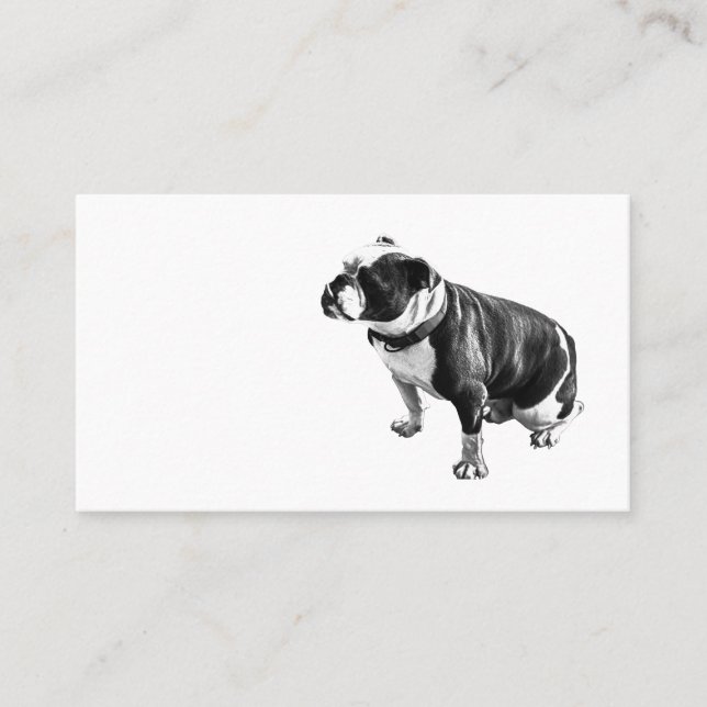 Steady Without Hurry Visitkort (Framsida)