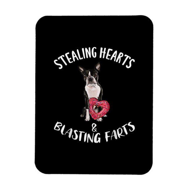 Stealing Hearts Blasting Farts Boston Terrier Magnet (Vertikal)