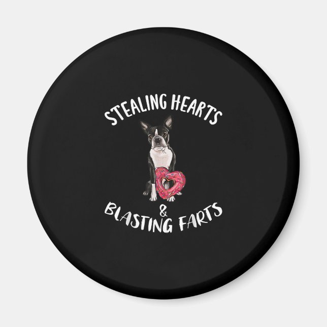 Stealing Hearts Blasting Farts Boston Terrier Magnet (Framsidan)