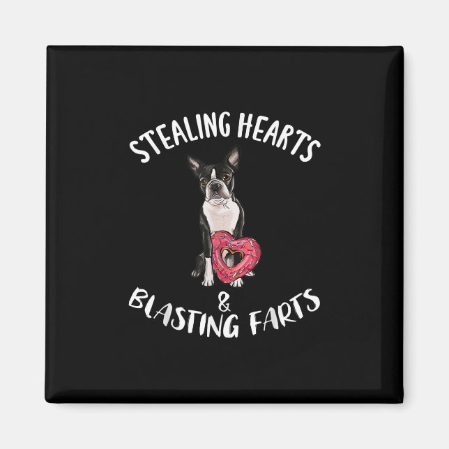 Stealing Hearts Blasting Farts Boston Terrier Magnet (Framsidan)