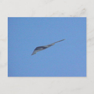 Stealth Bomber Vykort