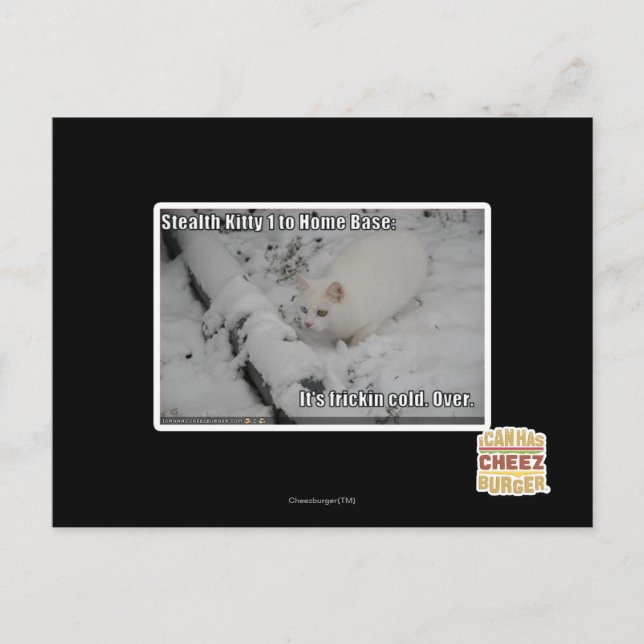 Stealthkattunge 1 vykort (Framsida)