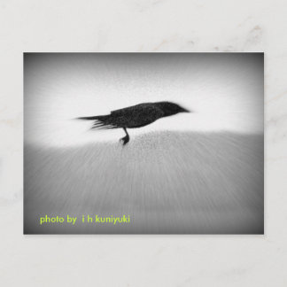 Stealthkråka Vykort