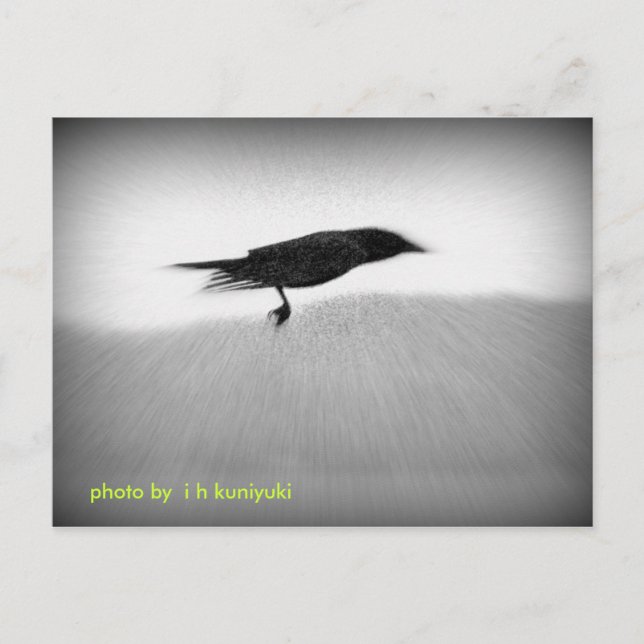 Stealthkråka Vykort (Framsida)