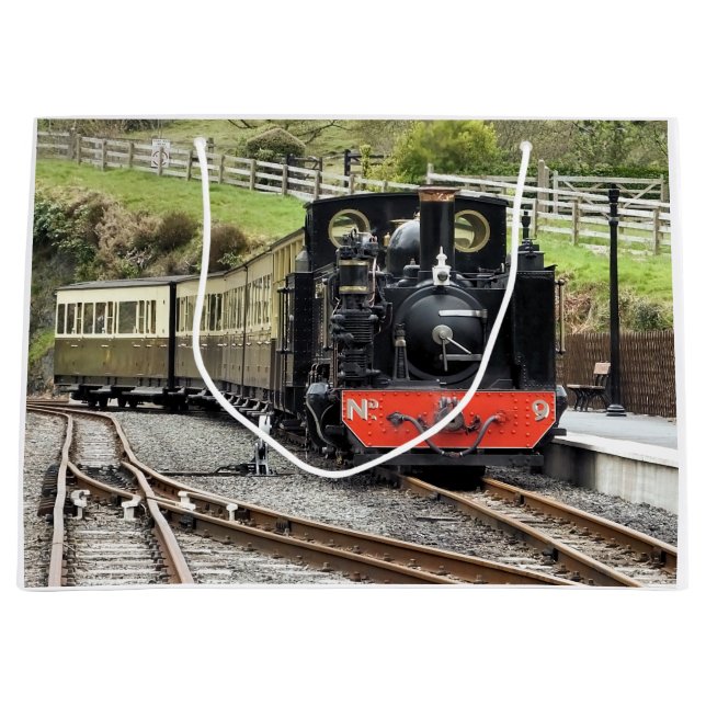 STEAM TÅG (Framsidan)