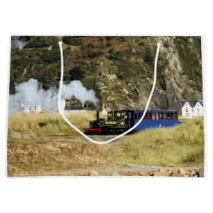 STEAM TÅG