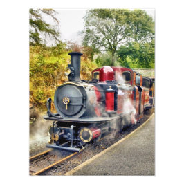 STEAM TÅG FOTOTRYCK