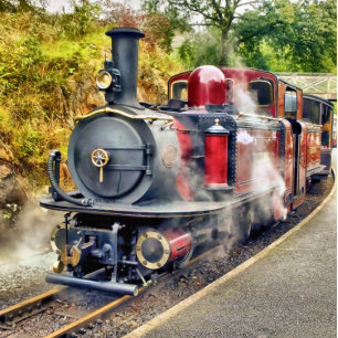 STEAM TÅG KNOPP
