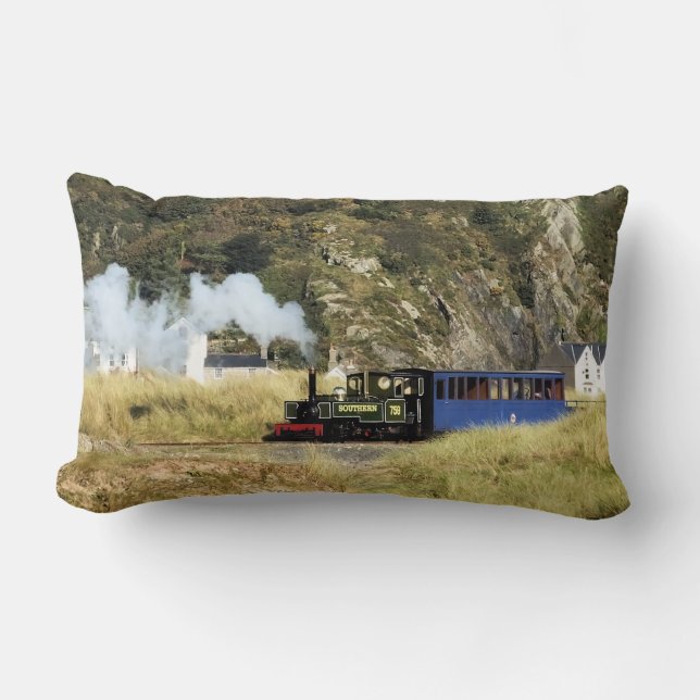 STEAM TÅG LUMBARKUDDE (Framsida)