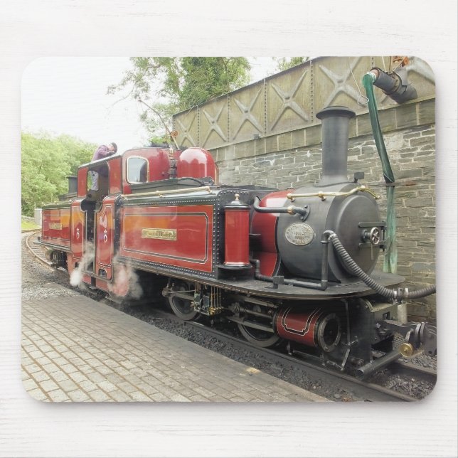 STEAM TÅG MUSMATTA (Framsidan)