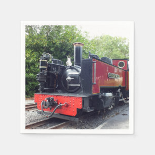STEAM TÅG PAPPERSSERVETT