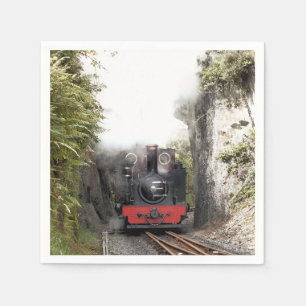 STEAM TÅG PAPPERSSERVETT