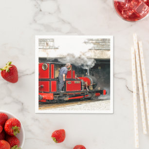 STEAM TÅG PAPPERSSERVETT