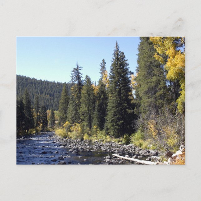 Steamboat Vår, Colorado Vykort (Framsida)