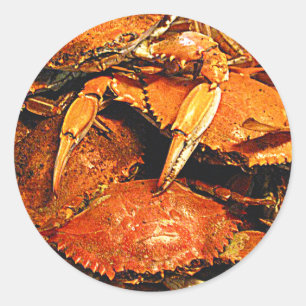 Steamed Maryland Hard Crabs Runt Klistermärke