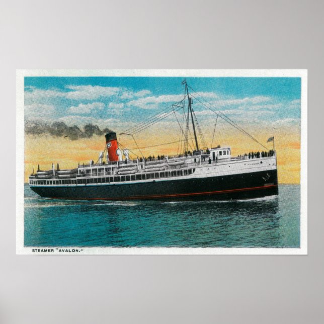 Steamer "Avalon" på ön Santa Catalina Poster (Framsidan)