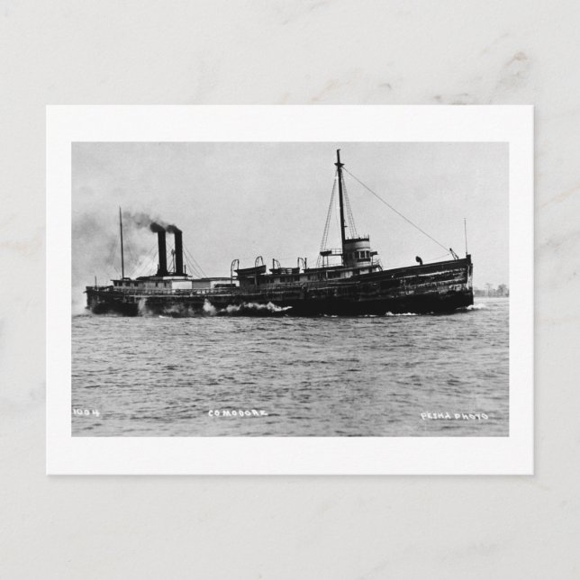Steamer Comodore - Louis Pesha Photo Vykort (Framsida)