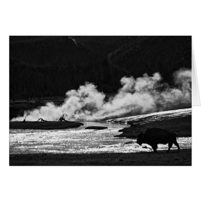 Steaming Bison - kort (Framsidan Horizontal)