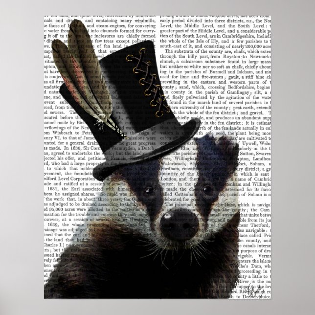 Steampunk Badger i Top hat Poster (Framsidan)