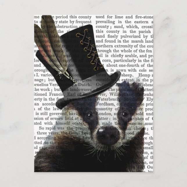 Steampunk Badger i Top hat Vykort (Framsida)