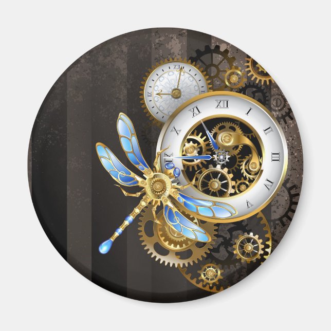 Steampunk Dials with Dragonfly Magnet (Framsidan)