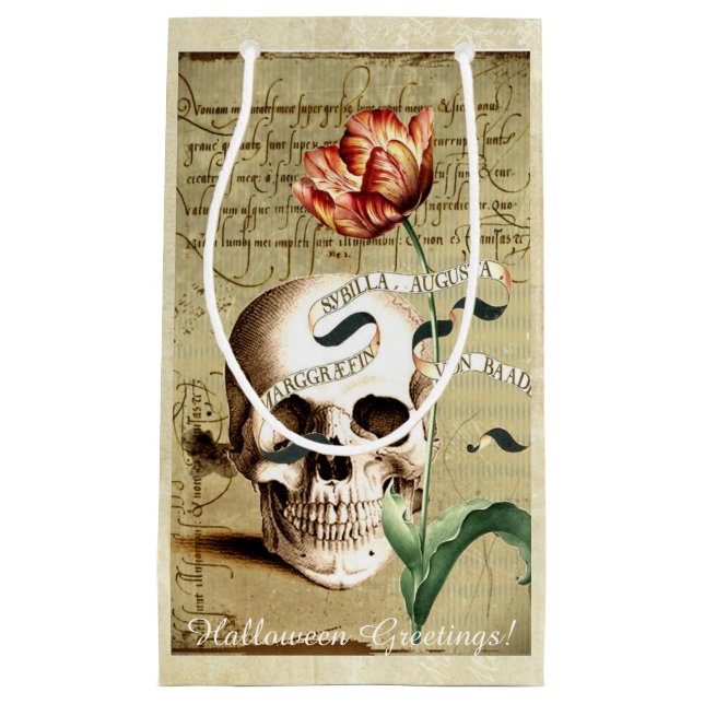 Steampunk Skull Blommigt Skriva Halloween Gift Bag (Framsidan)