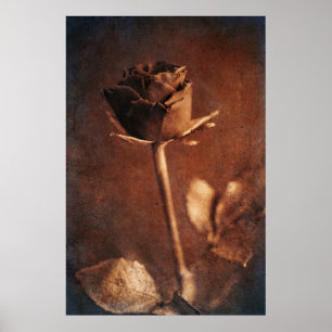 Steampunk steg poster