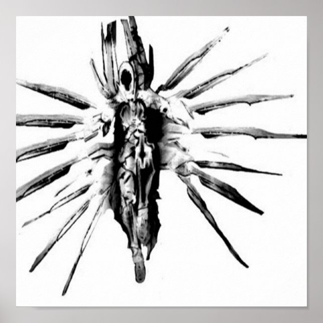 Steampunk Valkyrie Poster (Framsidan)