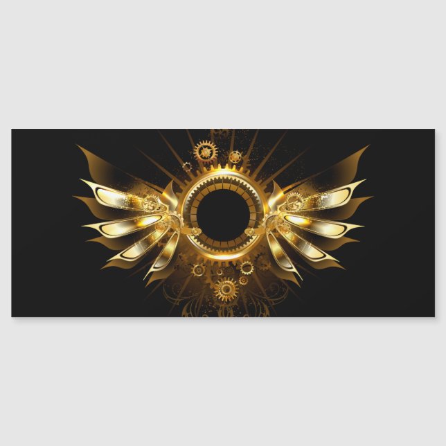 Steampunk vingar (Framsida)