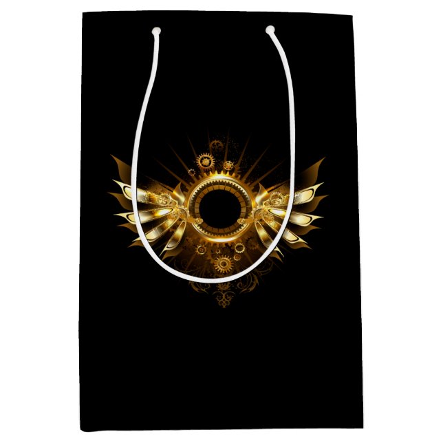 Steampunk vingar (Framsidan)