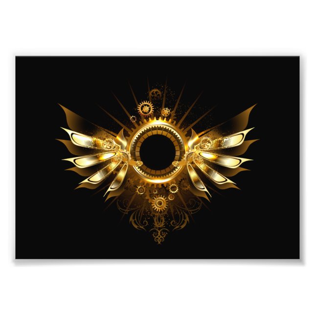 Steampunk vingar fototryck (Framsidan)