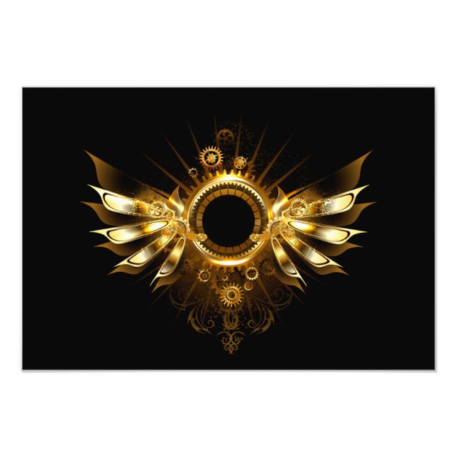 Steampunk vingar fototryck (Framsidan)