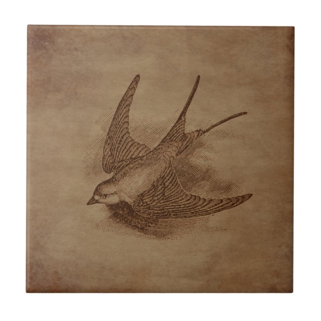 Steampunk Vintage Bird Kakelplatta (Framsidan)