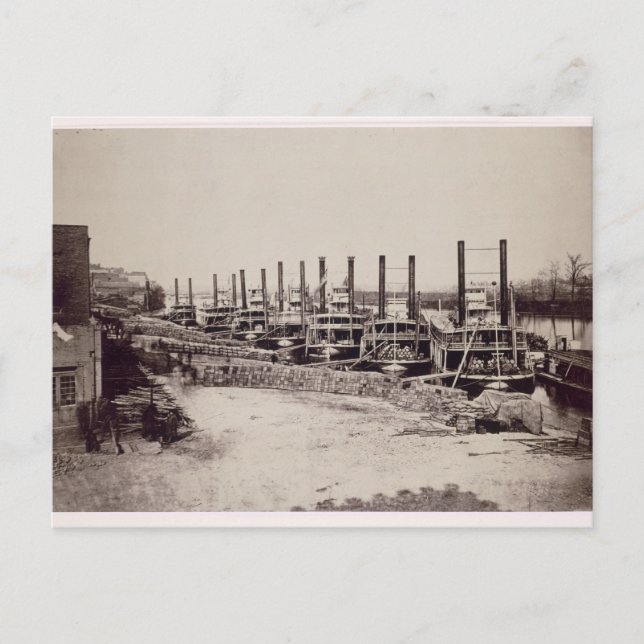 Steamrar på Mississippi (b/w-foto) Vykort (Framsida)