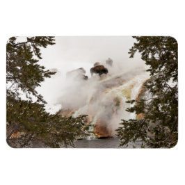 Steamy Bison i nationalparken Yellowstone Magnet