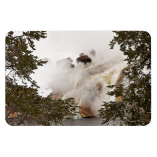 Steamy Bison i nationalparken Yellowstone Magnet